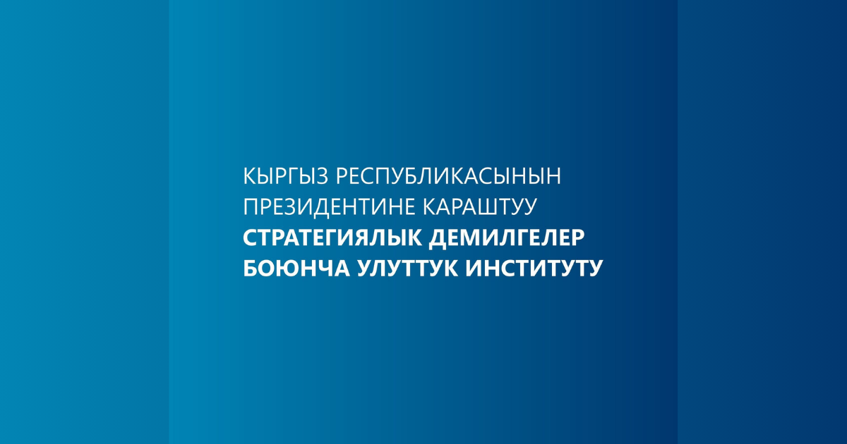 В Нацинституте стратегических инициатив при президенте выявили нарушения на 1.5 млн сомов