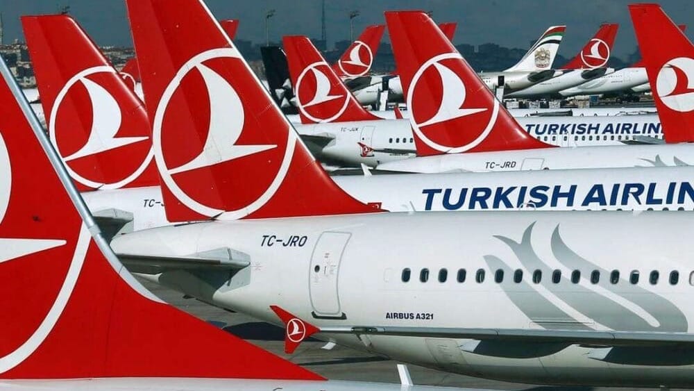 Turkish Airlines будет еженедельно перевозить до 300 тонн сельхозтоваров из КР в Китай