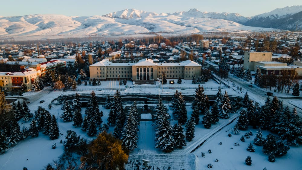 Какие партии лидируют на выборах в городские кенеши Иссык-Кульской области – список изображение публикации